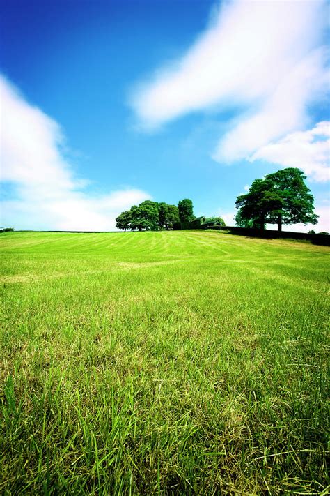 Field Calculator Python 的图像结果