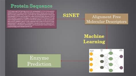 Alignment-Free Method to Predict Enzyme Classes and Subclasses