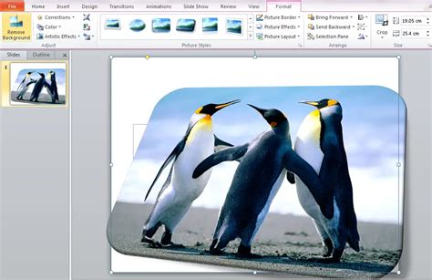 Image result for How to Create Slides in PowerPoint