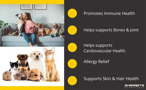 Buy Sharrets Sodium Ascorbate Vitamin C 500g Animal Feed Supplement ...