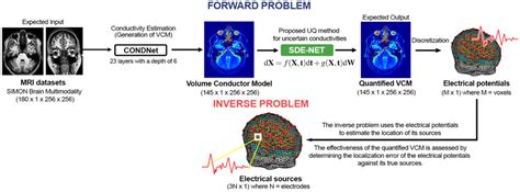 Image result for EEG Source Localization