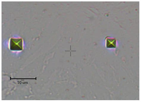 A Link between Neutron and Ion Irradiation Hardening for Stainless ...
