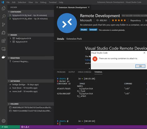 VS Code Attach to Container 的图像结果