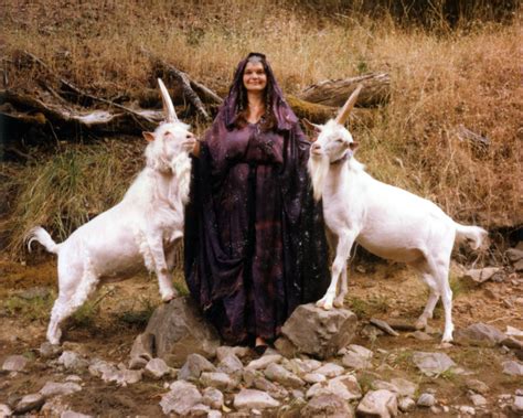 12 LIVING UNICORN ideas | real unicorn, canadas wonderland, unicorn