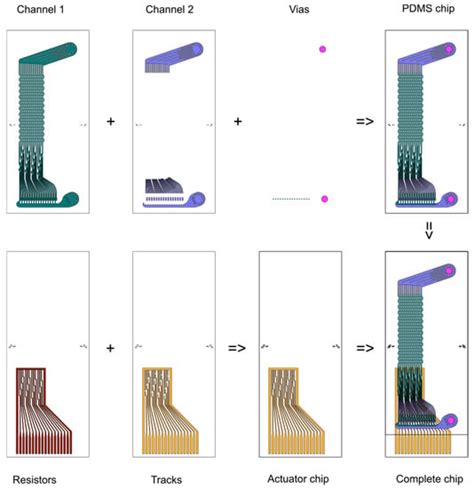 Micromachines | Special Issue : Microfluidics for Cell Detection and ...