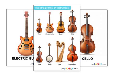 Image result for String Instruments Explained for Children