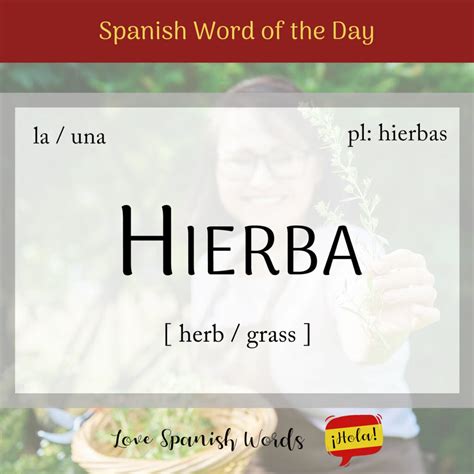 Spanish Word of the Day: Hierba (herb / grass) - Love Spanish Words