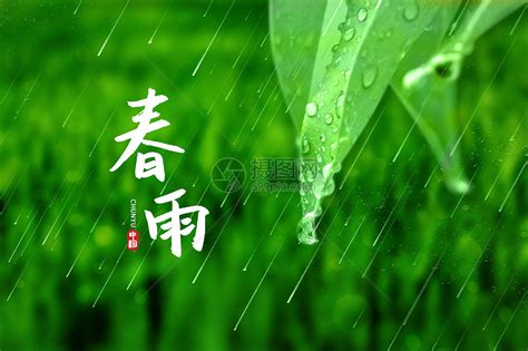 Alien Mort Predator 的图像结果