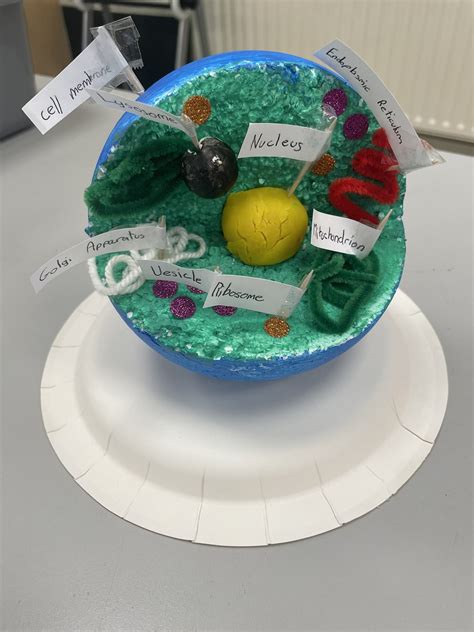 Image result for Styrofoam 3D Cell Model