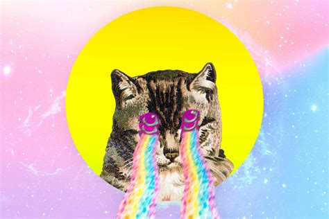 Funny Cat Names