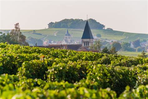 What is Champagne? A guide into the Glorious Sparkling Wine