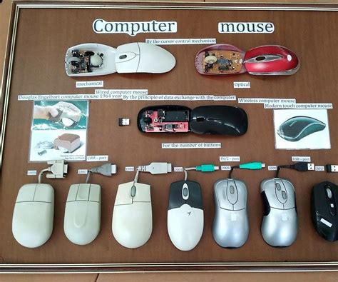 Image result for Evolution of Computer Mouse