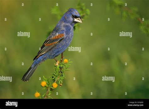 Image result for Basic R Programs