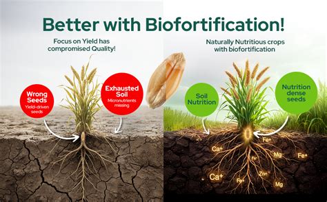 Better Nutrition Biofortified Unpolished Toor/Arhar Dal 1kg | Naturally ...