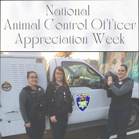 National Animal Control Officer Appreciation Week | City of Hayward - Official website