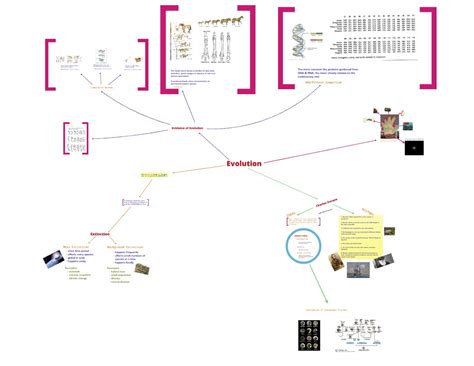 Map Evolution 的图像结果