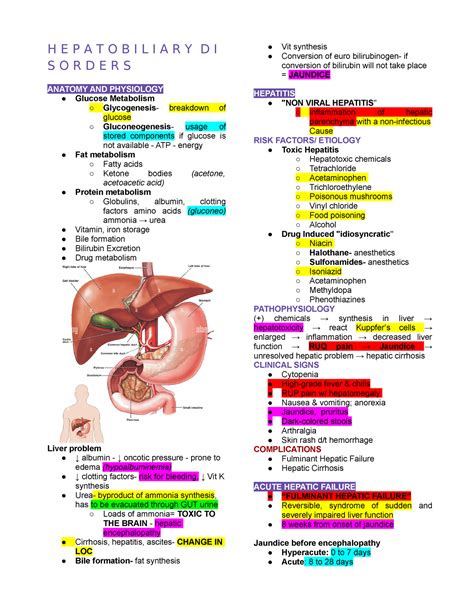 Lecture 4- Hepatobiliary - H E P A T O B I L I A R Y D I S O R D E R S ANATOMY AND PHYSIOLOGY ...