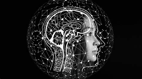 Misuse, harm 'inevitable'! WHO highlights AI risks for healthcare ...
