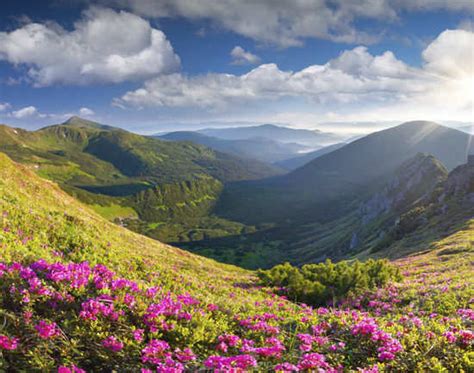 Best Spring Gardens | Places To See Spring At Its Best | Times of India ...