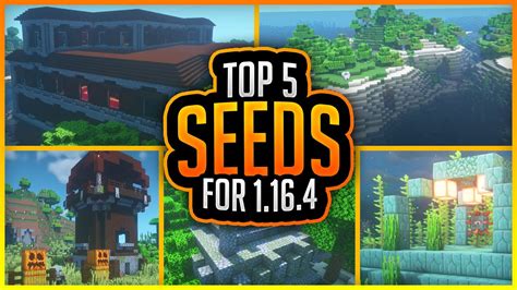Image result for Seed Minecraft 1.17 Java