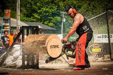 Image result for Logging Shows