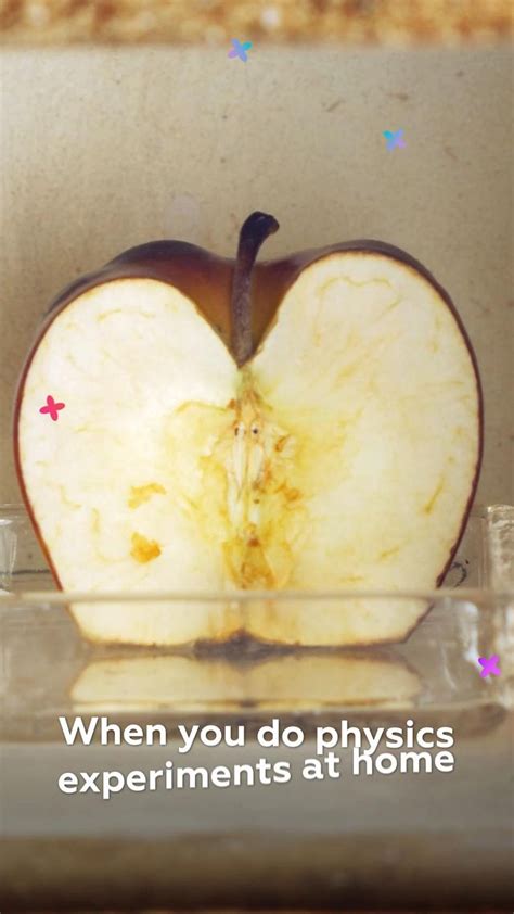 Fun Science Lessons 的图像结果