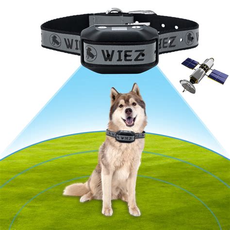 Wiez Gps Wireless Dog Fence Electric Dog Fence Range 65 | Desertcart INDIA