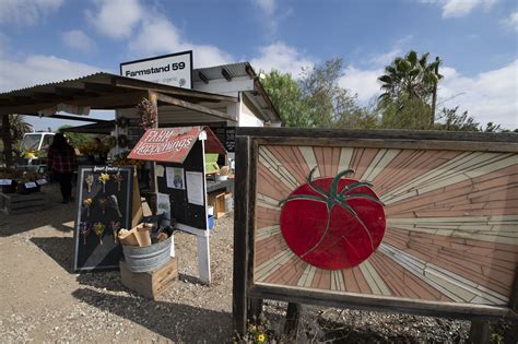 Local Farms 的图像结果