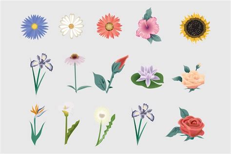 Fleurs décoratives avec des conceptions différentes | Vecteur Premium