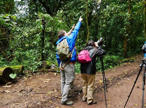 Best Things to Do in Gulf of Nicoya | Unique Tours & Activities - Costa ...