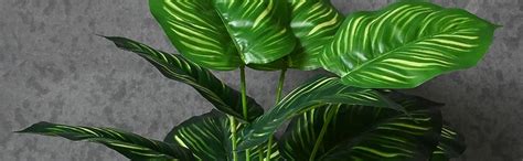 Buy Blooming Floret Polyester Artificial Plant Calathea Orbifolia Plant ...