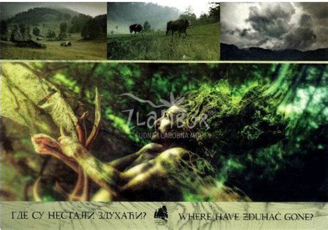 Vesti . Izložba "Gde su nestali zduhaći" u Muzeju "Staro selo"