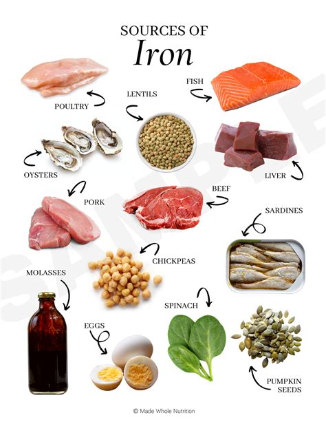 Iron Food Sources