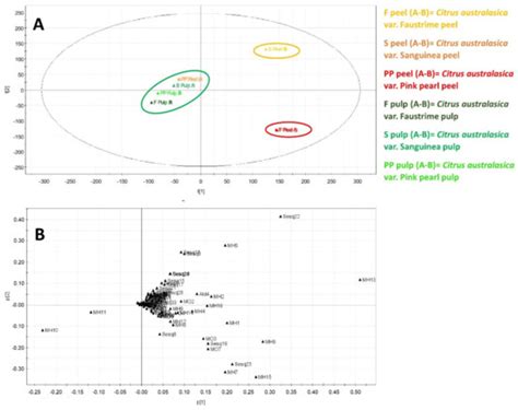 Comparative Volatilomic Profile of Three Finger Lime (Citrus ...