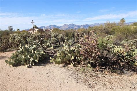 CASE NATURAL RESOURCE PARK (2025) All You Need to Know BEFORE You Go ...