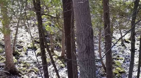 ISABELLA COUNTY FAIRGROUNDS CAMPGROUND (Mount Pleasant) - Campground ...