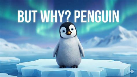 Penguin But Why Wallpapers - Wallpaper Cave