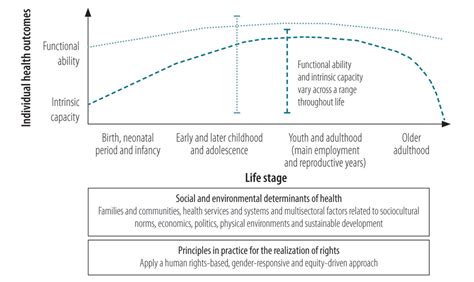 Image result for Life Course Approach