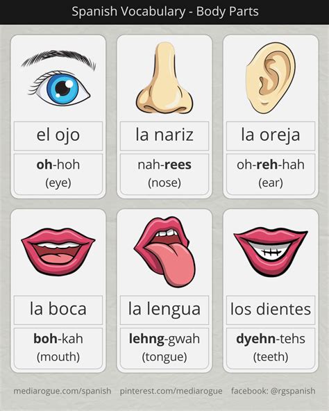 Spanish words for Eye, Nose, Ear, Mouth, Tongue, & Teeth | Spanish ...