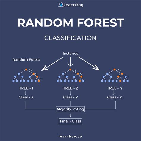 random forest illustration