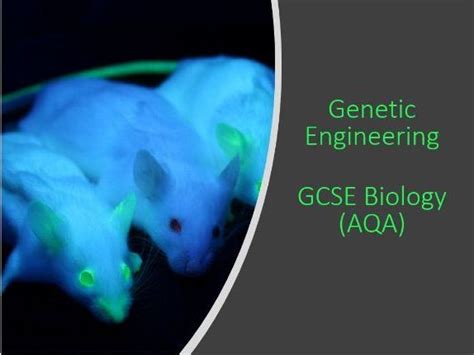 Basic Genetic Engineering GCSE Science OCR 的图像结果