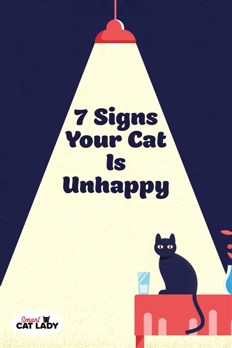10 Speaking Cat: How to Read a Cat's Body Language ideas | cats, cat ...