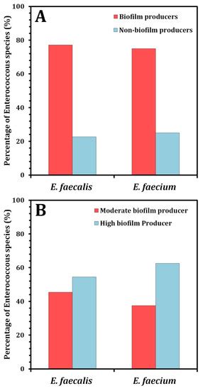 Antibiotic Resistance and Biofilm Formation in Enterococcus spp ...