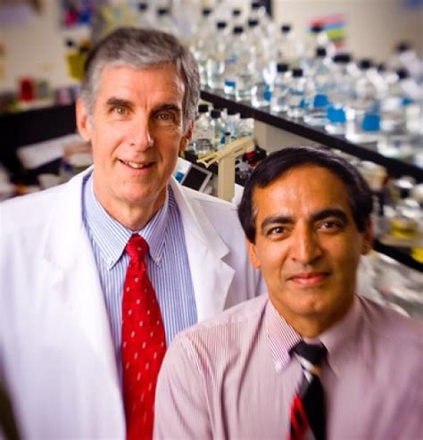 Chronic Obstructive Pulmonary Disease - Vice President Research and ...