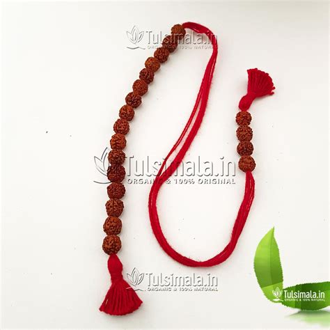 Pure Rudraksha Shakshi Mala 8mm Beads Size - Tulsi Mala
