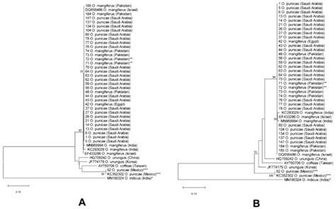 Insects | Special Issue : Mite Nature: Taxonomy, Behavior and Dispersion