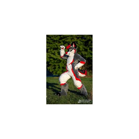 Grey Red Huksy Dog Fursuit Fullsuit Teen Costumes | Ubuy India