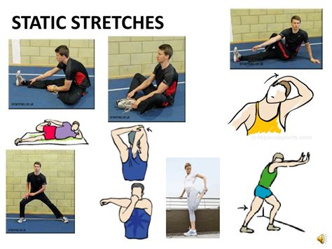 Image result for Static Stretch Examples