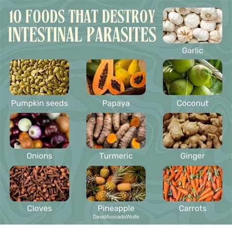 Devotion Essentials on Instagram: "Check out these 10 foods that help kill intestinal parasites ...