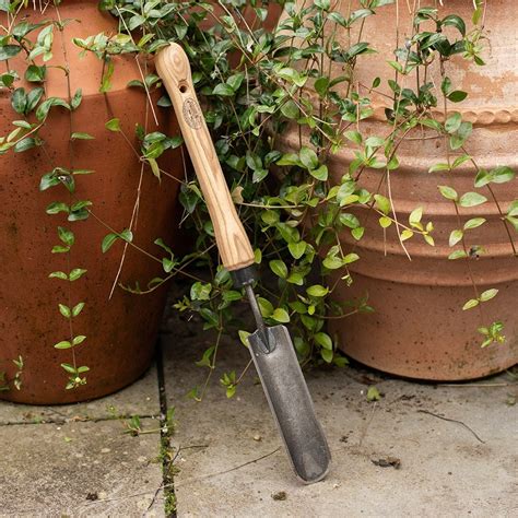 Buy DeWit rock and root trowel - 25cm ash handle: Delivery by Waitrose ...